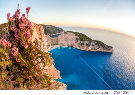 Navagio beach with shipwreck against colorful flowers on Zakynthos island, Greece 75840564