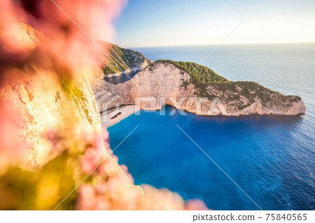 Navagio beach with shipwreck against colorful flowers on Zakynthos island, Greece 75840565
