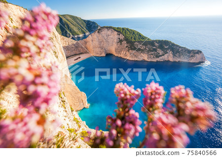 Navagio beach with shipwreck against colorful flowers on Zakynthos island, Greece 75840566