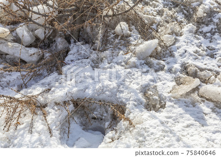 Pile of dirty snow in a winter park 75840646