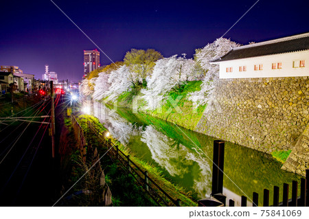 Kasumi公園的櫻花 Kasumi公園的櫻花 75841069