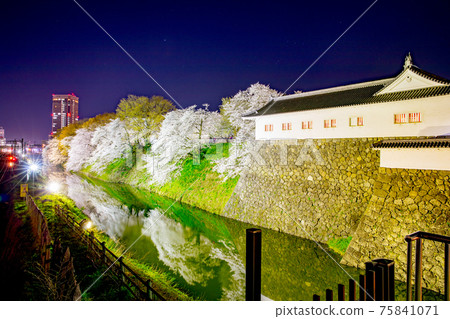 Cherry blossoms at Kasumi Park 75841071