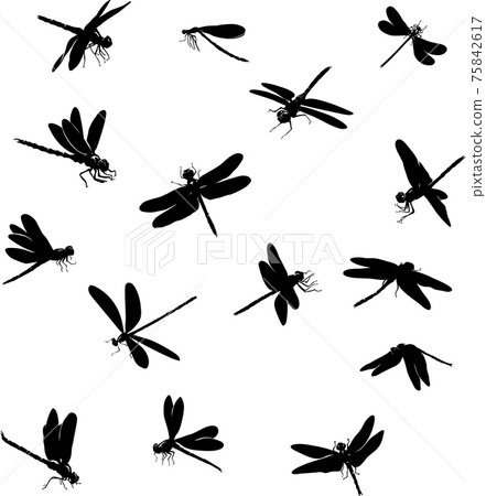 dragonfly, insect, various poses, movements and foreshortenings of figures, black, , black silhouette dragonfly, insect, various poses, movements and foreshortenings of figures, black, , black silhouette 75842617