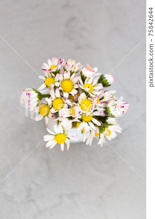 Beautiful daisy flowers in ceramic white vase on ultimate gray background from above Beautiful daisy flowers in ceramic white vase on ultimate gray background from above 75842644
