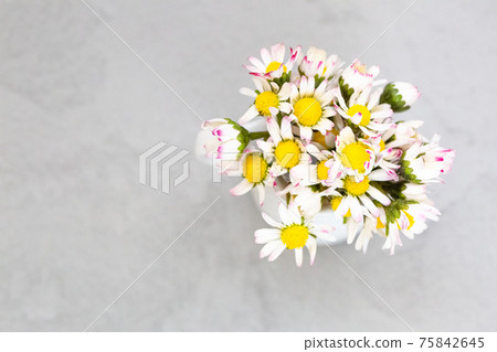 Beautiful daisy flowers in ceramic white vase on ultimate gray background from above 75842645