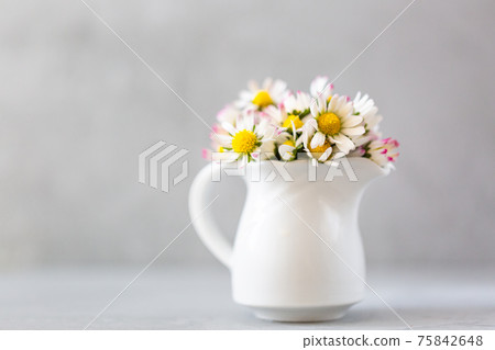 Beautiful daisy flowers in ceramic white vase on ultimate gray background Beautiful daisy flowers in ceramic white vase on ultimate gray background 75842648
