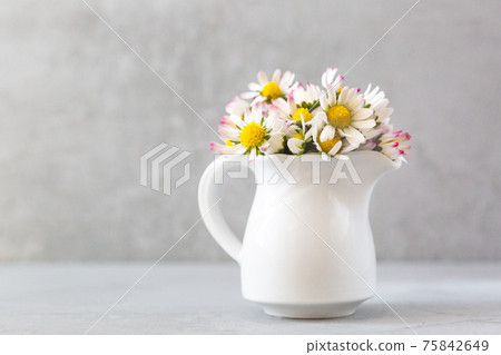 Beautiful daisy flowers in ceramic white vase on ultimate gray background Beautiful daisy flowers in ceramic white vase on ultimate gray background 75842649
