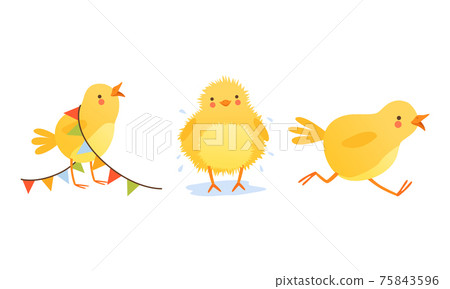 Adorable Chicken in Different Situations Set, Cute Funny Baby Bird Character Cartoon Vector Illustration 75843596