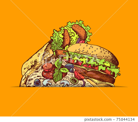 hand drawn fast food burger, taco, pizza illustration hand drawn fast food burger, taco, pizza illustration 75844134