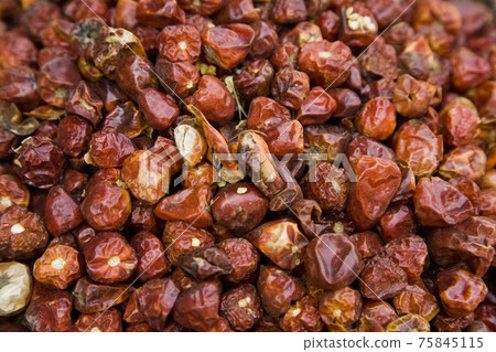 STOCK PHOTOGRAPHY IMAGES STOCK PHOTOGRAPHY IMAGES 75845115
