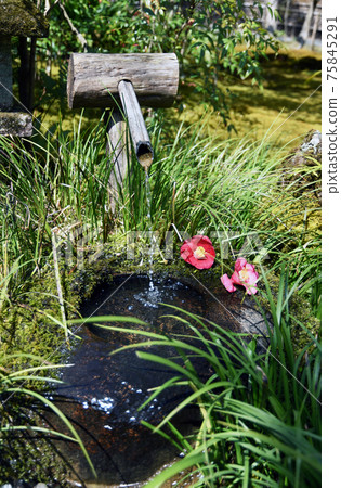 Giouji Temple Chozubachi, Sagano, Kyoto City Giouji Temple Chozubachi, Sagano, Kyoto City 75845291