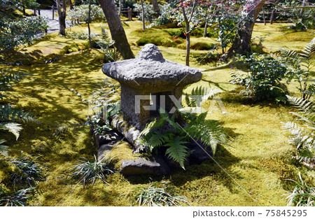 京都市九條寺青苔花園和燈籠agan峨野 75845295