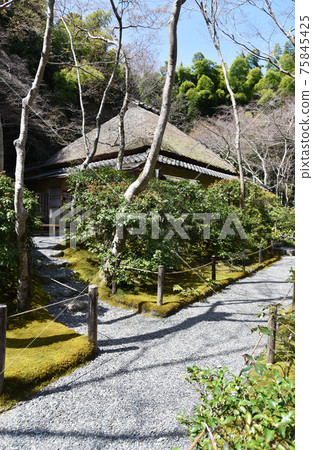 京都市S峨野市九尾本會堂 75845425