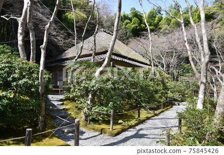 京都市S峨野市九尾本會堂 75845426