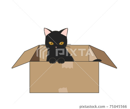 Abandoned cat black cat Abandoned cat black cat 75845566