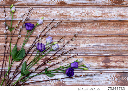 Decoration with purple roses on a wooden plank background, flat lay. Template for Valentine's Day, Mother's Day, International Women's Day, Birthday Cards. Decoration with purple roses on a wooden plank background, flat lay. Template for Valentine's Day, Mother's Day, International Women's Day, Birthday Cards. 75845783