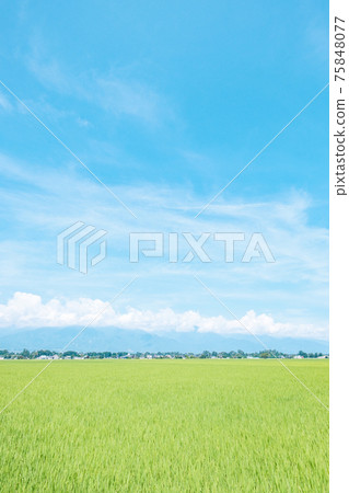 清爽的夏日田園風光(安zu野) 清爽的夏日田園風光(安zu野) 75848077