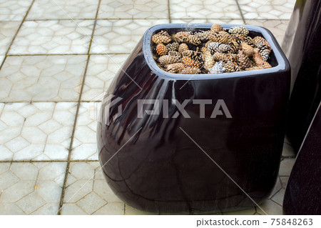 ceramic glossy black pot with pine cones mulch backyard decor against a gray stone tiles walkway close-up. 75848263