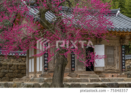 Gurye Hwaeomsa Temple 75848357