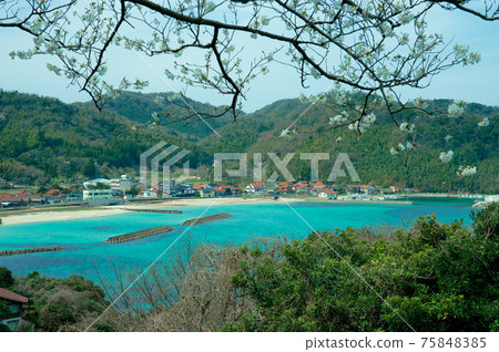 淺樹海灘 75848385