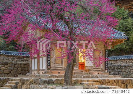 Gurye Hwaeomsa Temple Gurye Hwaeomsa Temple 75848442