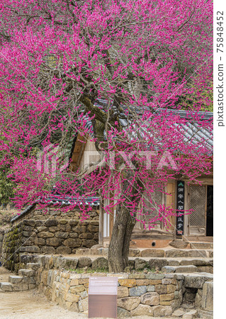 Gurye Hwaeomsa Temple Gurye Hwaeomsa Temple 75848452