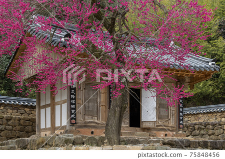 Gurye Hwaeomsa Temple Gurye Hwaeomsa Temple 75848456