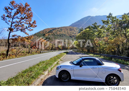 Mt. Sanbe Plateau Road in Autumn Mt. Sanbe Plateau Road in Autumn 75848540