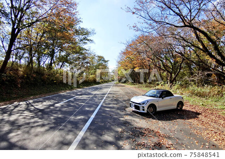 Mt. Sanbe Plateau Road in Autumn 75848541