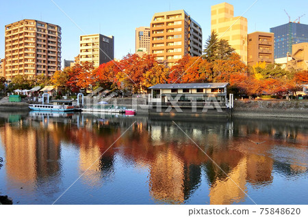 秋天的廣島市被和平紀念公園看到的夕陽染成的 75848620
