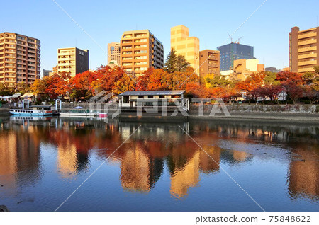 秋天的廣島市被和平紀念公園看到的夕陽染成的 75848622