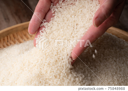 飯 75848988