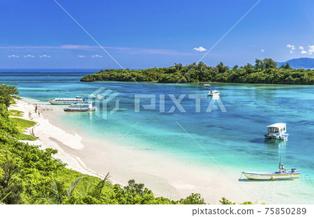 Beautiful coral reef sea in Ishigaki Island and Kabira Bay Beautiful coral reef sea in Ishigaki Island and Kabira Bay 75850289