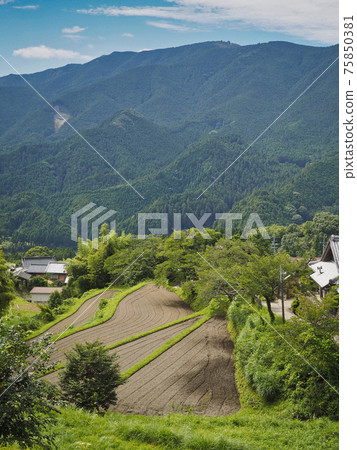The scenery of Misugi in the summer when the fresh green shines The scenery of Misugi in the summer when the fresh green shines 75850381