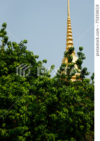 Public Temple decorate with Golden color to show Elite old Fashion Public Temple decorate with Golden color to show Elite old Fashion 75850619