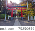 Omotesando, Daiichi Torii of Omiya Hachimangu, where cherry blossoms are in full bloom in spring 75850659