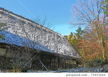 Higashiyama Botanical Garden winter view 75851644