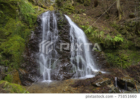 ash野瀑布下游的匿名瀑布(兵庫縣丹波市) ash野瀑布下游的匿名瀑布(兵庫縣丹波市) 75851660