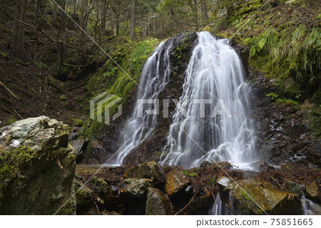 ash野瀑布下游的匿名瀑布(兵庫縣丹波市) ash野瀑布下游的匿名瀑布(兵庫縣丹波市) 75851665