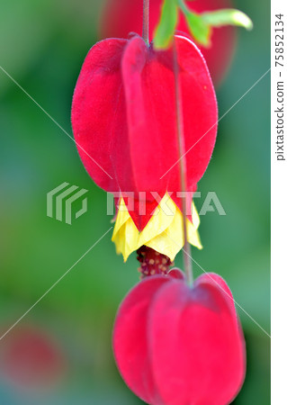 Tyrolean lamp Tyrolean lamp 75852134