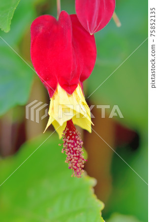 Tyrolean lamp 75852135