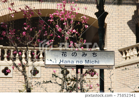 Takarazuka Revue and Flower Road Takarazuka Revue and Flower Road 75852341