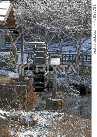 Higashiyama Botanical Garden winter view 75852781