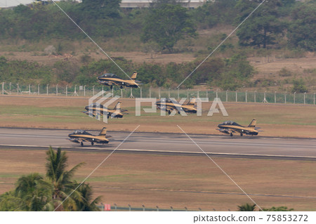 阿拉伯聯合酋長國空軍Acrobat團隊“ Al Fulsan” 75853272