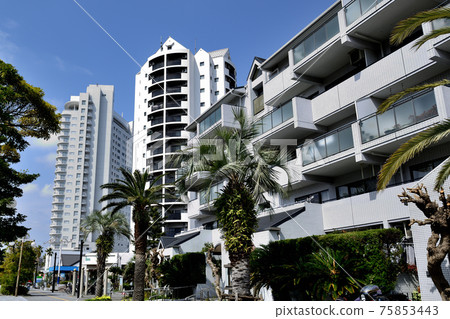 Scenery of a group of palm tree-lined condominiums near Shin-Urayasu Station 75853443