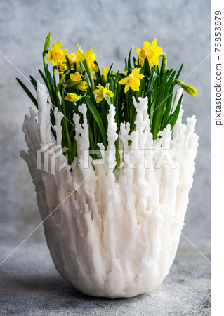Floral composition with yellow daffodils Floral composition with yellow daffodils 75853879