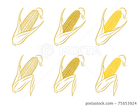 玉米矢量插畫 75853924