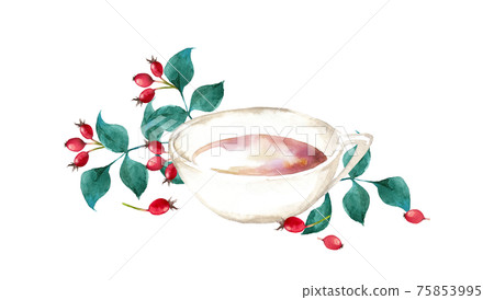 玫瑰果茶水彩 玫瑰果茶水彩 75853995
