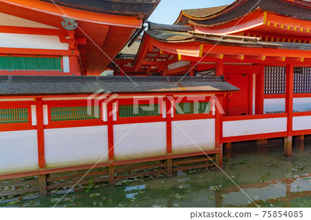 世界遺產宮島嚴島神社走廊 世界遺產宮島嚴島神社走廊 75854085