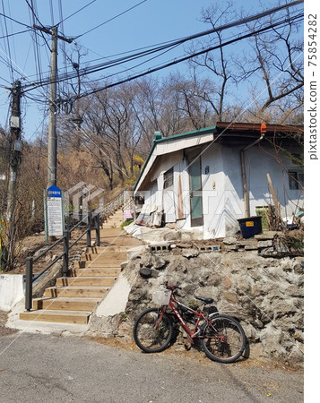 Spring. Alley. Forsythia. Old house 75854282